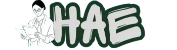 Hire Assignment Expert logo